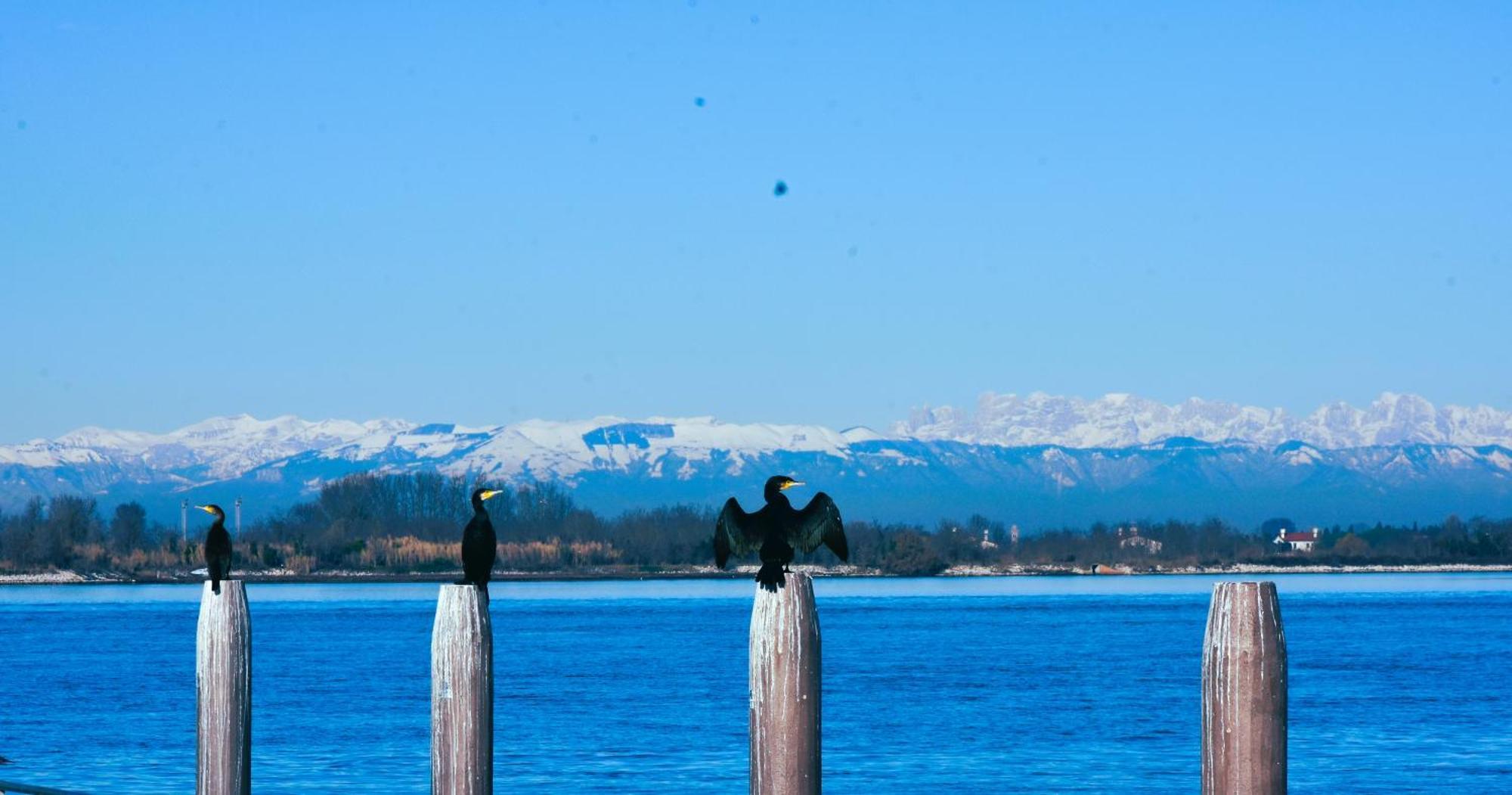 Appartamento Con Vista A Cavallino Venezia Exterior foto
